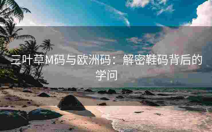 三叶草M码与欧洲码:解密鞋码背后的学问 三叶草M码与欧洲码:解密鞋码背后的学问