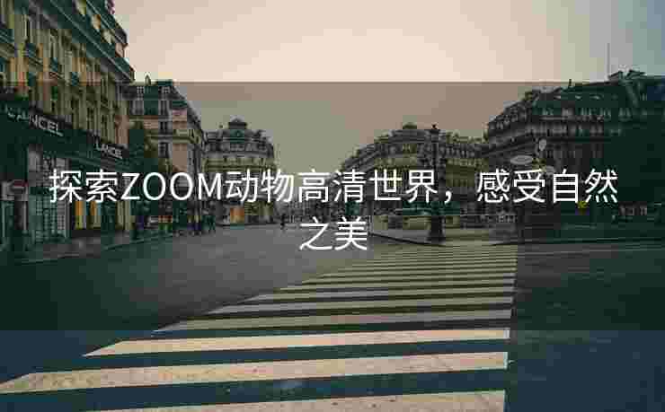 探索ZOOM动物高清世界，感受自然之美