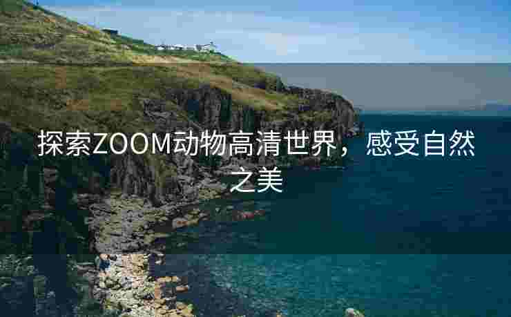 探索ZOOM动物高清世界，感受自然之美